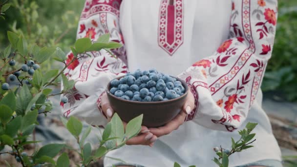 Mujer Blusa Bordada Tradicional Ucraniana Sosteniendo Arándanos Sobre Fondo Jardín — Vídeo de stock