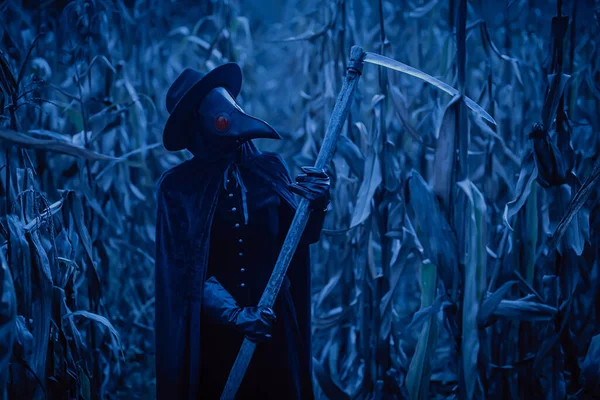 Plague doctor gothic woman with sharp scythe at night in thickets of corn field. Creepy raven mask, halloween, historical terrible protection costume, death concept. High quality photo