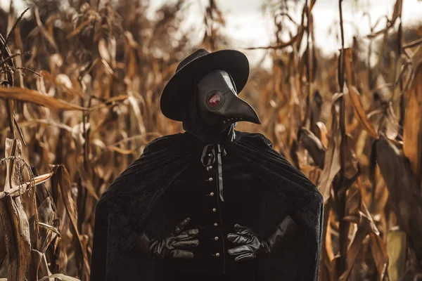 Médecin Peste Femme Gothique Debout Dans Les Fourrés Automne Maïs — Photo