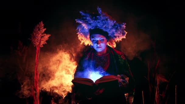Ukrainian Witch Woman Reading Magic Steaming Book Reeds Night Traditional — Stock Video