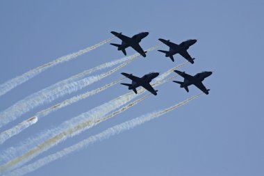 Hawk uçak