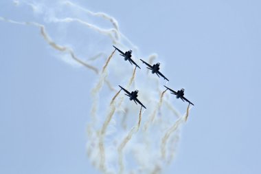 Hawk uçak