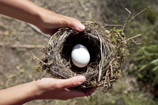 Hands holding nest with egg. — Stock Photo, Image