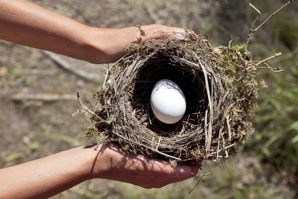 Hands holding nest with egg. — Stock Photo, Image