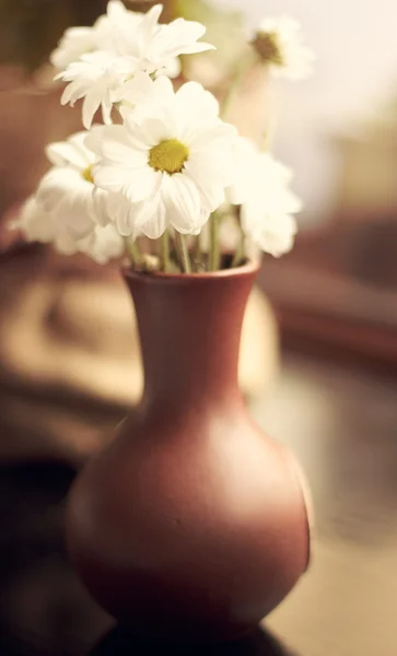 Білі дикі квіти в коричневій вазі — стокове фото