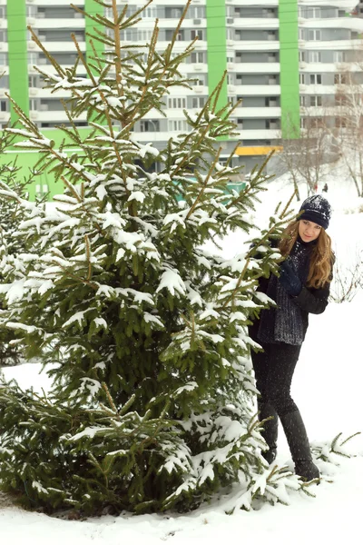 Winter girl behind snow tree — Stock Photo, Image