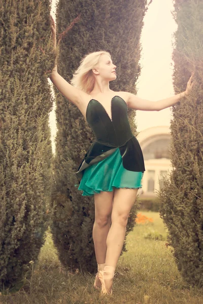 Bella ballerina si erge tra arbusti alti — Foto Stock