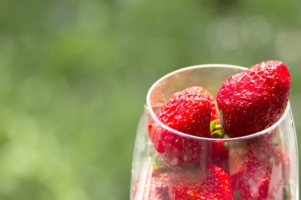 Ein Glas mit Erdbeere — Stockfoto