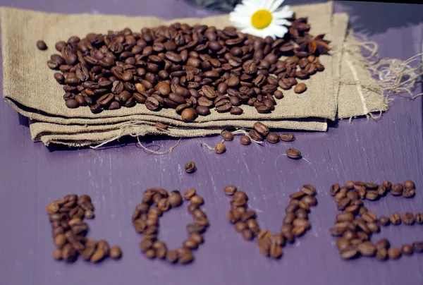 Coffee beans with chamomile — Stock Photo, Image