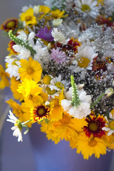 Hermoso ramo de flores silvestres — Foto de Stock