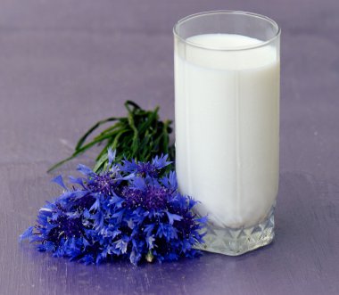 bardak süt ve bir buket Peygamber