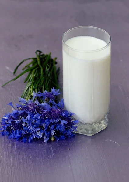 杯牛奶和花束矢 — 图库照片