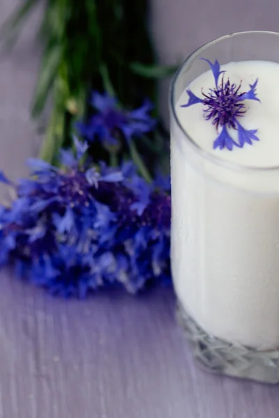 Verre de lait et un bouquet de bleuets — Photo