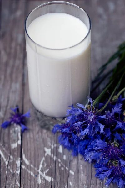 Vetro di latte e un mazzo di fiordalisi — Foto Stock