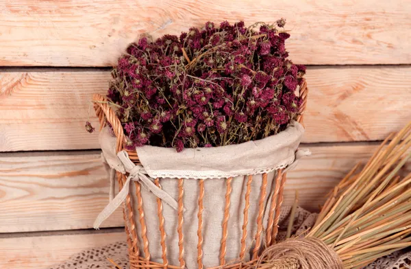 Lavendel och vete — Stockfoto