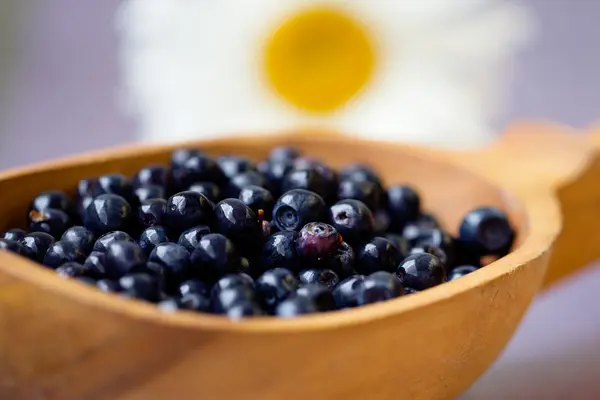 ジューシーなブルーベリーの新鮮な果物 — ストック写真