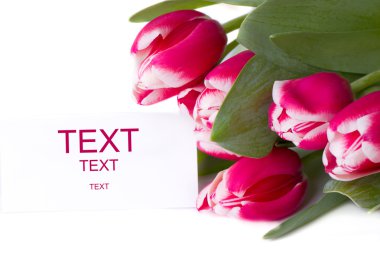 kırmızı lale buketi. izole