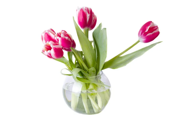 Bouquet of red tulips. isolated — Stock Photo, Image