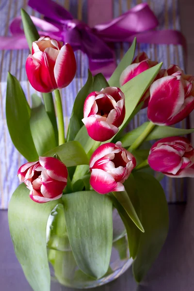 Pink tulips and gift box — Stock Photo, Image