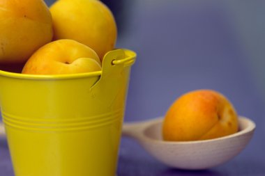 küçük, sarı bir kova içinde kayısı