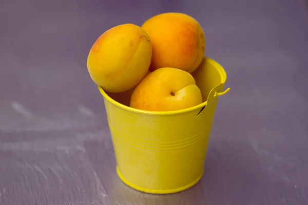 在一个小的黄色桶杏 — 图库照片
