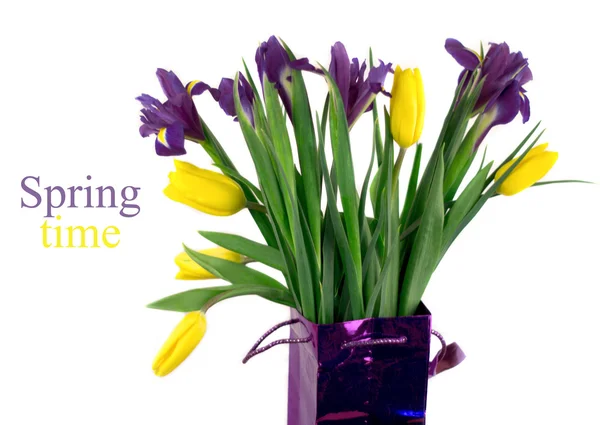 Tulipanes amarillos e iris azules aislados —  Fotos de Stock