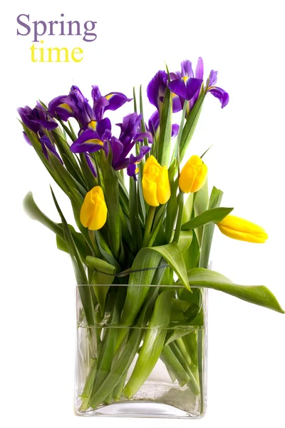 Ramo de flores de primavera - tulipanes e iris —  Fotos de Stock