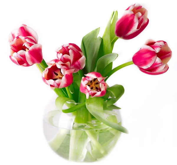 Bouquet of pink tulips in a vase — Stock Photo, Image