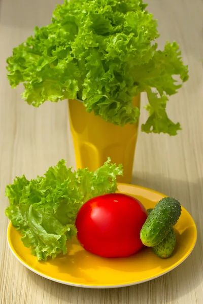 Salade de tomates, concombre et laitue — Photo