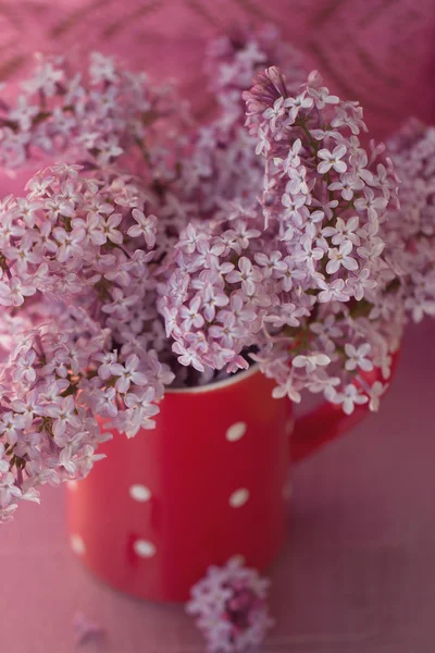 Tasse mit Flieder — Stockfoto