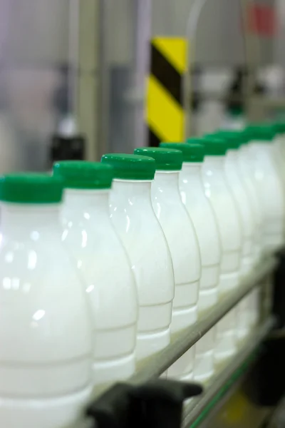 乳品厂。牛奶瓶带式输送机. — 图库照片