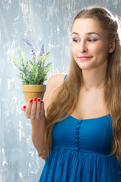 Woman's hands holding flower in pot — Stock Photo, Image