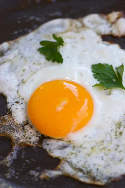 Míchaná vejce od slepice vejce — Stock fotografie