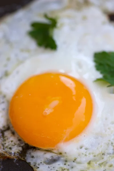 Ovos mexidos de um ovo de galinha — Fotografia de Stock