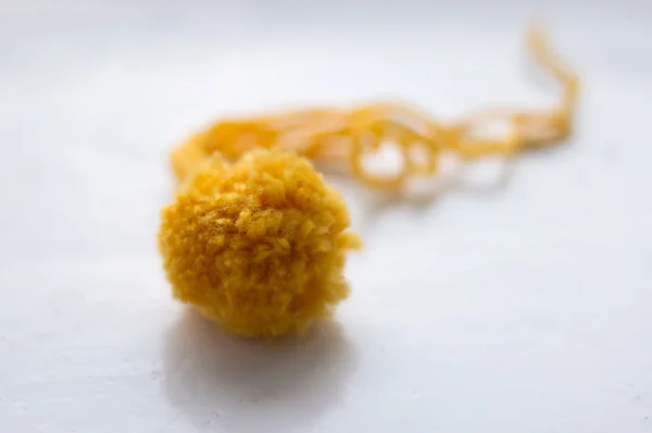 Pompom amarelo — Fotografia de Stock