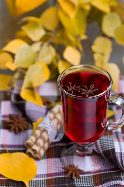 Tè rosso e foglie d'autunno — Foto Stock