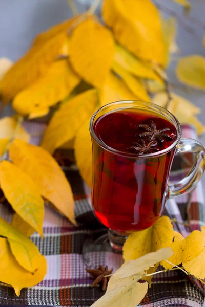 Red Tea and autumn leafs — Stock Photo, Image