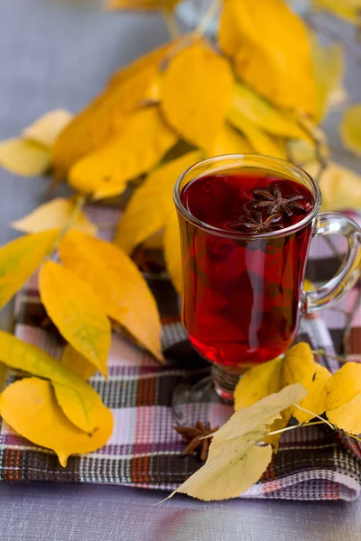Té rojo y hojas de otoño —  Fotos de Stock