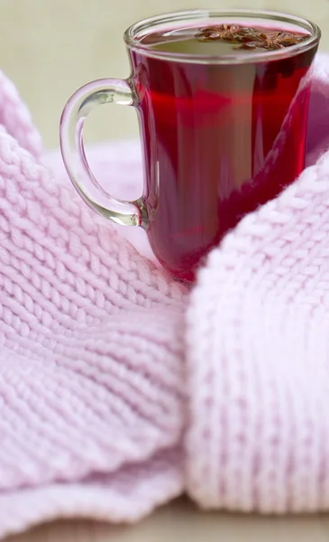 スカーフで赤茶 (カルカデ) — ストック写真