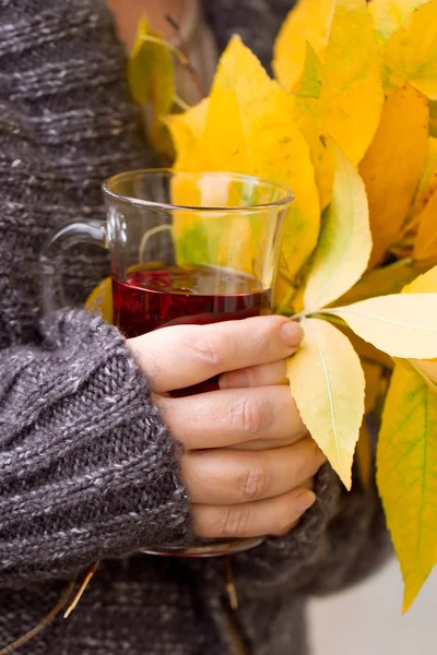 Female hand holding tea and autumn leaves — Stock Photo, Image