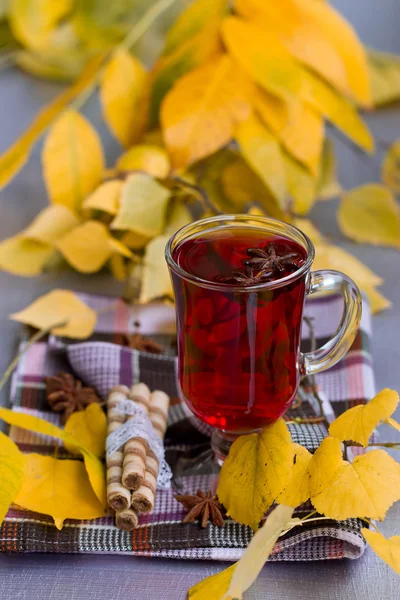 Té rojo y hojas de otoño —  Fotos de Stock