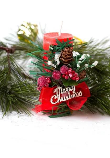 Kužel a vánoční stromek, samostatný — Stock fotografie