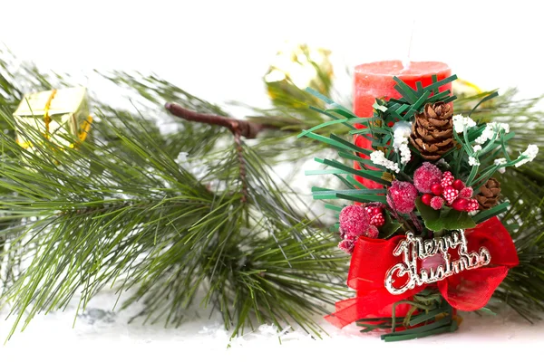 Kužel a vánoční stromek, samostatný — Stock fotografie