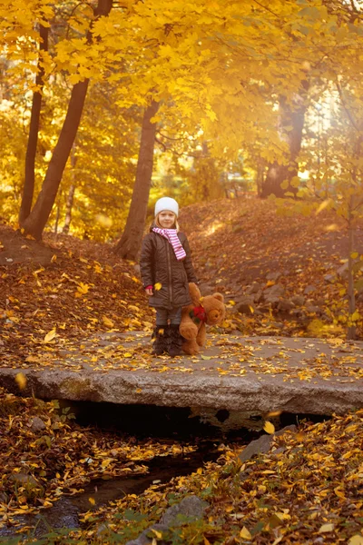 Rozkošná holčička s podzim — Stock fotografie