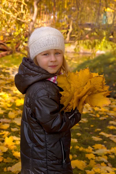 Linda chica en otoño Parque — Foto de Stock