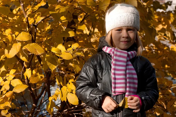 Roztomilá dívka v podzimním parku — Stock fotografie