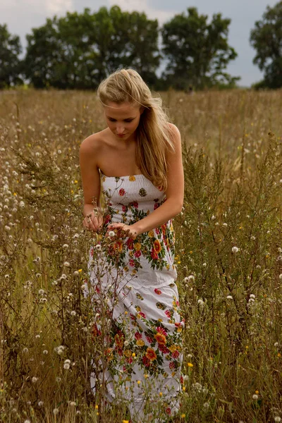 Young woman withfield — Stock Photo, Image