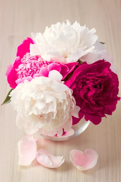 Peony flower in a vase — Stock Photo, Image