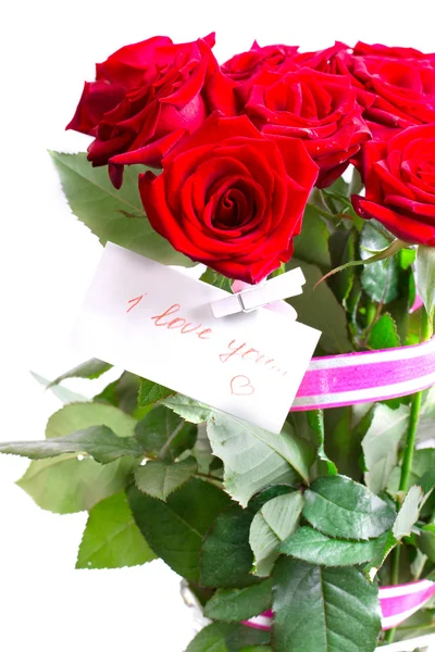 Červená růže izolovaných na dovolené — Stock fotografie