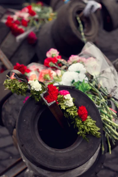 Kyjev, Ukrajina, evromaydan: květiny na pneumatiky — Stock fotografie